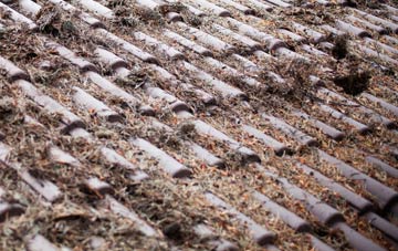 Old Weston roof cleaning companies